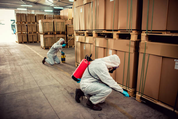 Best Pest Inspection Near Me  in Jefferson City, TN
