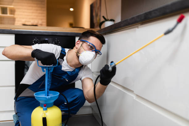 Best Pest Inspection Near Me  in Jefferson City, TN