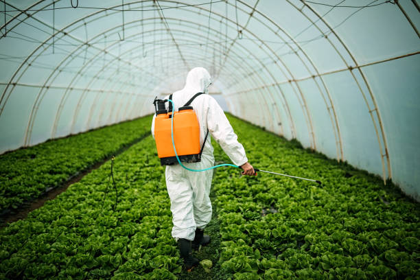 Pest Control for Restaurants in Jefferson City, TN