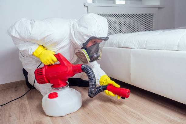 Reliable Jefferson City, TN Pest Control Solutions