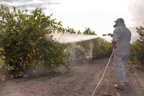Best Commercial Pest Control Services  in Jefferson City, TN