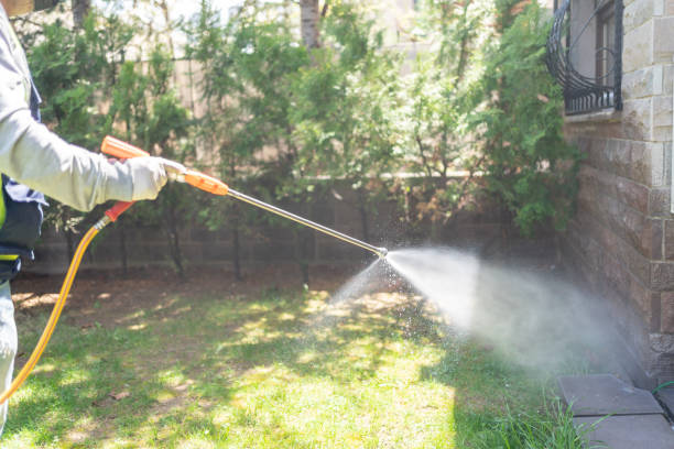Best Flea Control Services  in Jefferson City, TN