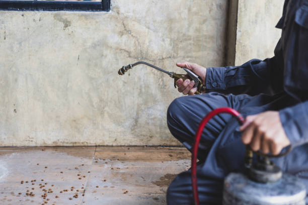 Best Local Pest Control Services  in Jefferson City, TN