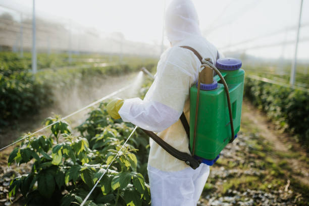 Best Cockroach Control Services  in Jefferson City, TN